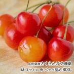  Yamagata префектура производство вишня Sato .M~L размер превосходящий упаковка ..800g(200g×4 упаковка )/yamahiro ферма / отсроченный платеж расчет не возможно / бесплатная доставка 