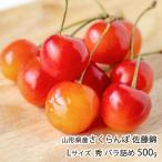  Yamagata префектура производство вишня Sato .L размер превосходящий роза ..500g/yamahiro ферма / отсроченный платеж расчет не возможно / бесплатная доставка 