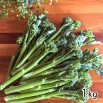  Yamagata префектура производство палочка senyo-ru1kg( примерно 30~50шт.@)/ сельское хозяйство ../ бесплатная доставка 