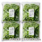  Yamagata префектура производство ветка бобы .... бобы . сырой 2kg(500g×4 пакет )/ дерево ....... сельское хозяйство место / бесплатная доставка 