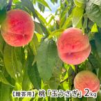 [.. для ] Yamagata префектура производство персик [ шар ...]2kg(6~8 шар )/ восток замок сельское хозяйство ./ бесплатная доставка 