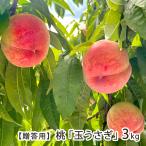 [.. для ] Yamagata префектура производство персик [ шар ...]3kg(7~9 шар )/ восток замок сельское хозяйство ./ бесплатная доставка 