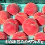 [ для бытового использования ] Yamagata префектура производство персик [ шар ...]3kg(7~9 шар )/ восток замок сельское хозяйство ./ бесплатная доставка 