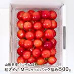  Yamagata префектура производство вишня ....M~L размер упаковка ..500g(500g×1 упаковка )/ дерево . фрукты / отсроченный платеж расчет не возможно / бесплатная доставка 