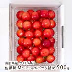  Yamagata префектура производство вишня Sato .M~L размер упаковка ..500g(500g×1 упаковка )/ дерево . фрукты / отсроченный платеж расчет не возможно / бесплатная доставка 