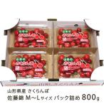  Yamagata префектура производство вишня Sato .M~L размер упаковка ..800g(200g×4 упаковка )/ дерево . фрукты / отсроченный платеж расчет не возможно / бесплатная доставка 