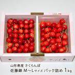  Yamagata префектура производство вишня Sato .M~L размер упаковка ..1kg(500g×2 упаковка )/ дерево . фрукты / отсроченный платеж расчет не возможно / бесплатная доставка 