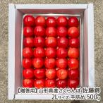 [.. для ] Yamagata префектура производство вишня Sato .2L размер рука ..500g(500g×1 упаковка )/ Toda сельское хозяйство ./ отсроченный платеж расчет не возможно / бесплатная доставка 