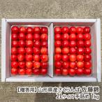 [.. для ] Yamagata префектура производство вишня Sato .2L размер рука ..1kg(500g×2 упаковка )/ Toda сельское хозяйство ./ отсроченный платеж расчет не возможно / бесплатная доставка 