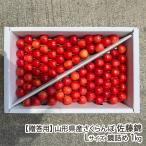 [.. для ] Yamagata префектура производство вишня Sato .L размер зеркало ..1kg/ Toda сельское хозяйство ./ отсроченный платеж расчет не возможно / бесплатная доставка 