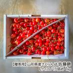 [.. для ] Yamagata префектура производство вишня Sato .L размер роза ..1kg/ Toda сельское хозяйство ./ отсроченный платеж расчет не возможно / бесплатная доставка 