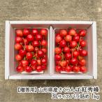 [.. для ] Yamagata префектура производство вишня . превосходящий .3L размер роза ..1kg(500g×2 упаковка )/ Toda сельское хозяйство ./ отсроченный платеж расчет не возможно / бесплатная доставка 