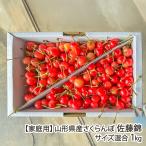 [ для бытового использования ] Yamagata префектура производство вишня Sato . размер смешивание 1kg/ Toda сельское хозяйство ./ отсроченный платеж расчет не возможно / бесплатная доставка 