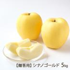 山形県産りんごシナノゴールド5kg...