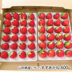  Yamagata префектура производство клубника .....600g(40~60 шарик )* шарик число. указание. не можем принять /. магазин Sato / отсроченный платеж расчет не возможно / бесплатная доставка 