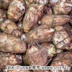 [ есть перевод ] Yamagata префектура производство таро ( природа культивирование * земля имеется )2kg(1kg×2 пакет )/... сельское хозяйство ./ бесплатная доставка 