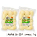  Yamagata префектура производство мытье таро ( природа культивирование )1kg(500g×2 пакет )/... сельское хозяйство ./ бесплатная доставка 