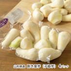 Yamagata префектура производство шелушение . таро (.. клубень )4 упаковка / большой Izumi ..../ бесплатная доставка 