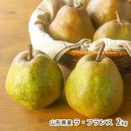  Yamagata префектура производство la* Франция 2kg(6~8 шар )* шар число. . указание. не можем принять / гора храм туристический фруктовое дерево ./ отсроченный платеж расчет не возможно / бесплатная доставка 
