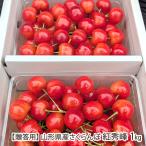 [.. для ] Yamagata префектура производство вишня . превосходящий .1kg(500g×2 упаковка )/ каштан . фруктовое дерево ./ отсроченный платеж расчет не возможно / бесплатная доставка 