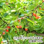  Yamagata префектура производство вишня Sato .... смешивание 500g(500g×1 упаковка )/ каштан . фруктовое дерево ./ отсроченный платеж расчет не возможно / бесплатная доставка 