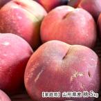 [ для бытового использования ] Yamagata префектура производство персик 5kg(14~20 шар )/ каштан . фруктовое дерево ./ отсроченный платеж расчет не возможно / бесплатная доставка 