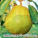 [ для бытового использования ] Yamagata префектура производство la* Франция 3kg(10~14 шар )/ каштан . фруктовое дерево ./ отсроченный платеж расчет не возможно / бесплатная доставка 