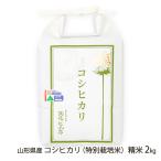 山形県産コシヒカリ（