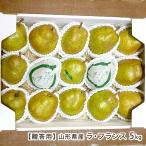 [.. для ] Yamagata префектура производство la* Франция 5kg(15~16 шар )/.... играть запад . фруктовое дерево ./ бесплатная доставка 