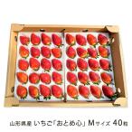 Yamagata префектура производство клубника [... сердце ]M размер 40 шарик (40 шарик ×1 коробка )/. sho сельское хозяйство ./ отсроченный платеж расчет не возможно / бесплатная доставка 