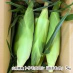  Yamagata префектура производство кукуруза [.. было использовано ]3kg(6~9шт.@)/ Nagaoka ферма / отсроченный платеж расчет не возможно / бесплатная доставка 