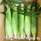  Yamagata префектура производство кукуруза [.. было использовано ]5kg(10~13шт.@)/ Nagaoka ферма / отсроченный платеж расчет не возможно / бесплатная доставка 