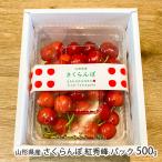  Yamagata префектура производство вишня . превосходящий . упаковка 500g(500g×1 упаковка )/ITO FARM FRUIT/ отсроченный платеж расчет не возможно / бесплатная доставка 