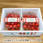  Yamagata префектура производство вишня . превосходящий . упаковка 700g(350g×2 упаковка )/ITO FARM FRUIT/ отсроченный платеж расчет не возможно / бесплатная доставка 