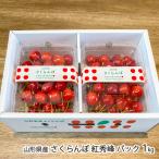  Yamagata префектура производство вишня . превосходящий . упаковка 1kg(500g×2 упаковка )/ITO FARM FRUIT/ отсроченный платеж расчет не возможно / бесплатная доставка 