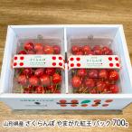  Yamagata префектура производство вишня ...... упаковка 700g(350g×2 упаковка )/ITO FARM FRUIT/ отсроченный платеж расчет не возможно / бесплатная доставка 