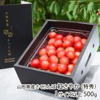  Yamagata префектура производство вишня ....( Special превосходящий )L размер и больше 500g(500g×1 упаковка )* этот товар - роза ... / фрукты forest / отсроченный платеж расчет не возможно / бесплатная доставка 