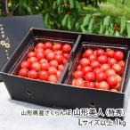  Yamagata префектура производство вишня Yamagata прекрасный человек ( Special превосходящий )L размер и больше 1kg(500g×2 упаковка )* этот товар - роза ... / фрукты forest / отсроченный платеж расчет не возможно / бесплатная доставка 
