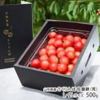  Yamagata префектура производство вишня Sato .( превосходящий )L*2L размер 500g(500g×1 упаковка )* этот товар - роза ... / фрукты forest / отсроченный платеж расчет не возможно / бесплатная доставка 