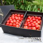  Yamagata префектура производство вишня Sato .( превосходящий )L*2L размер 1kg(500g×2 упаковка )* этот товар - роза ... / фрукты forest / отсроченный платеж расчет не возможно / бесплатная доставка 