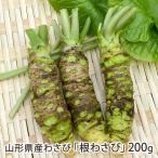  Yamagata префектура производство васаби [ корень васаби ]200g/TTK гора сторона сельское хозяйство место / бесплатная доставка 