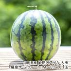  Yamagata префектура производство хвост цветок . арбуз большой шар [.. The * Suite ]M~L размер 1 шар /ARCO FARM/ отсроченный платеж расчет не возможно / бесплатная доставка 