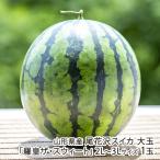  Yamagata префектура производство хвост цветок . арбуз большой шар [.. The * Suite ]2L~3L размер 1 шар /ARCO FARM/ отсроченный платеж расчет не возможно / бесплатная доставка 