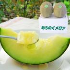 極上タカミメロン大玉2玉