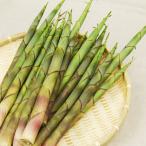 [2025 год распродажа видеть соединять ]| Shibuya san. месяц гора . примерно 1kg(15шт.@ передний и задний (до и после) )