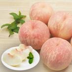 予約受付中：10月中旬頃より発送予...