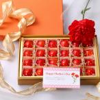 2026年3月頃〜予約開始予定【母の日ギフト】さくらんぼ佐藤錦Lサイズ[ギフトBOX入り][生カーネーション付]