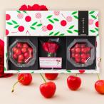 2026年3月頃〜予約開始予定【母の日ギフト】さくらんぼ佐藤錦200gダイヤパック入[生カーネーション付]