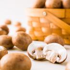  лодка форма гриб роза . примерно 1kg Brown 