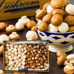 [ большая вместимость ]{ есть перевод } лодка форма гриб роза . примерно 5kg Mix 